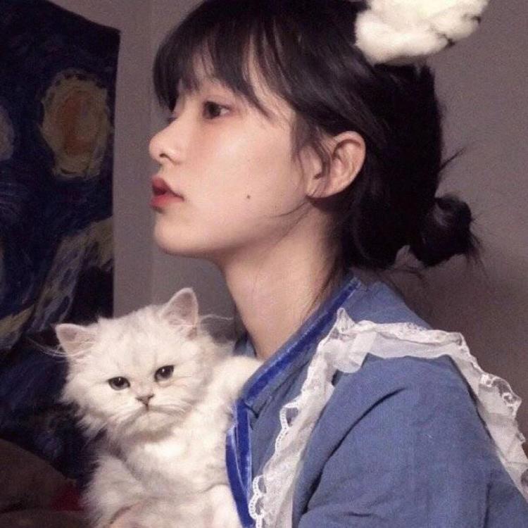 则座诚 - 综艺未删减在线观看 - 网络影视